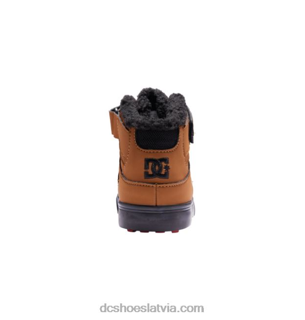 N008N510 tīri ziemas apavi bērniem kvieši/melnie DC Shoes