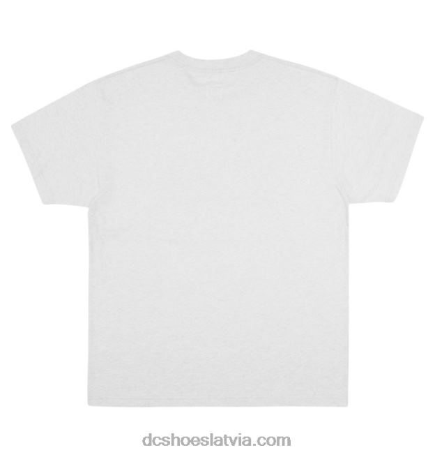 N008N119 vīriešu garais t-krekls sniega virši DC Shoes