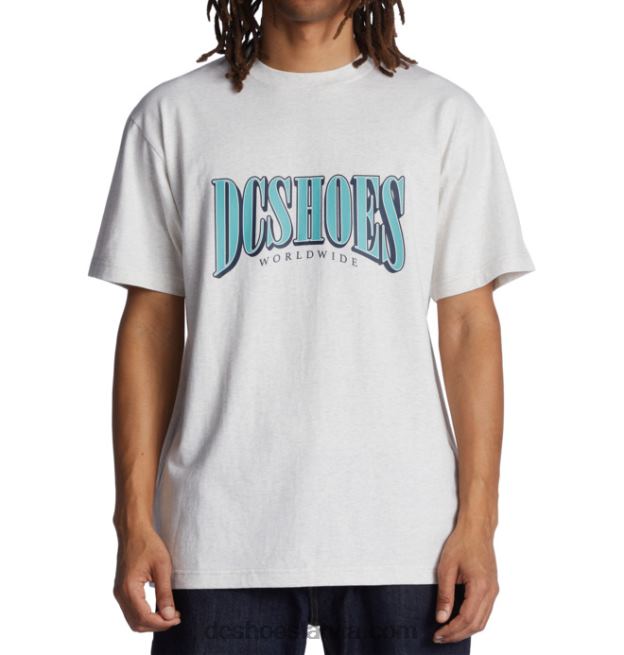 N008N119 vīriešu garais t-krekls sniega virši DC Shoes