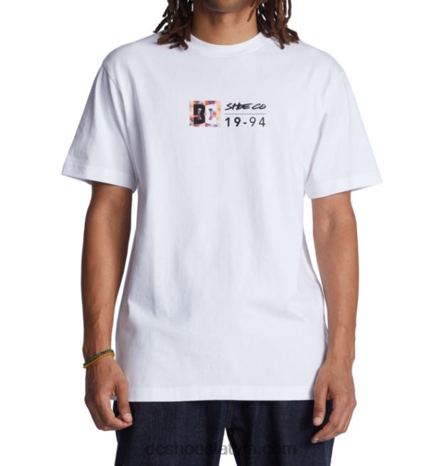 N008N129 vīriešu dc split star t-krekls balta/silta ledus krāsa DC Shoes