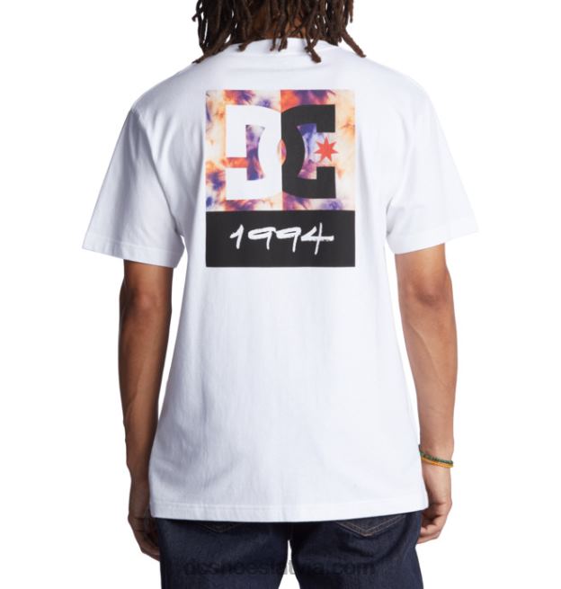 N008N129 vīriešu dc split star t-krekls balta/silta ledus krāsa DC Shoes