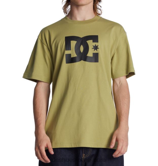 N008N73 vīriešu dc star t-krekls salvija DC Shoes