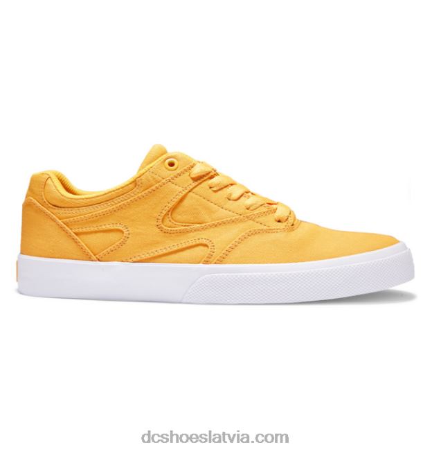 N008N370 kalis vulc - apavi vīriešiem zelts DC Shoes