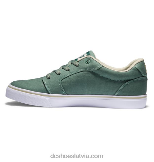 N008N288 vīriešu laktas audekla kurpes zaļš/balts DC Shoes