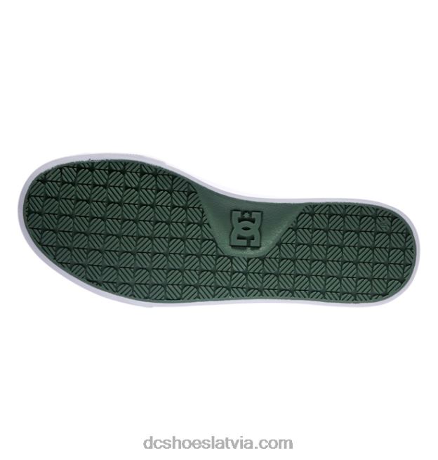 N008N288 vīriešu laktas audekla kurpes zaļš/balts DC Shoes