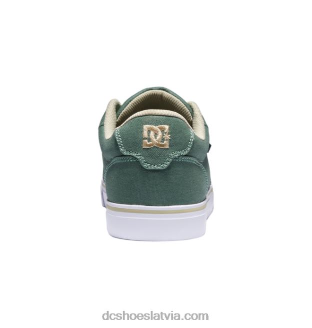 N008N288 vīriešu laktas audekla kurpes zaļš/balts DC Shoes