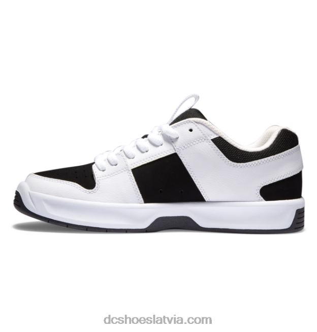 N008N310 vīriešu lynx zero kurpes balts melns DC Shoes
