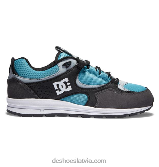 N008N175 vīriešu kalis lite slidas kurpes melns/pelēks/zils DC Shoes