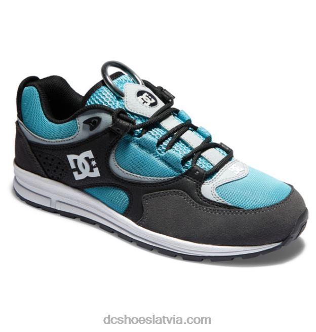 N008N175 vīriešu kalis lite slidas kurpes melns/pelēks/zils DC Shoes