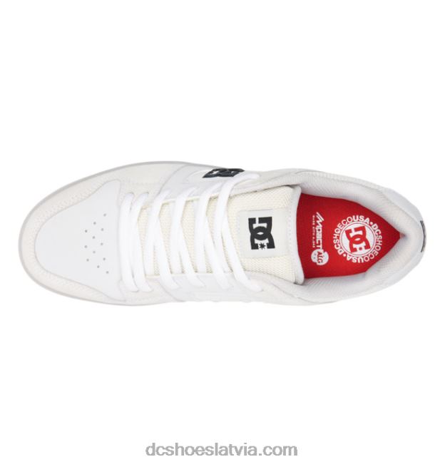 N008N186 vīriešu manteca 4 slidu kurpes forši pelēks DC Shoes