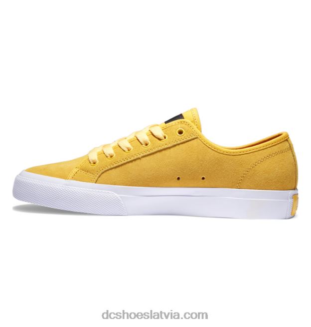 N008N219 vīriešu manuālās slidošanas apavi zelts DC Shoes
