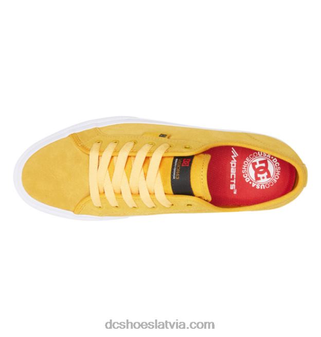 N008N219 vīriešu manuālās slidošanas apavi zelts DC Shoes