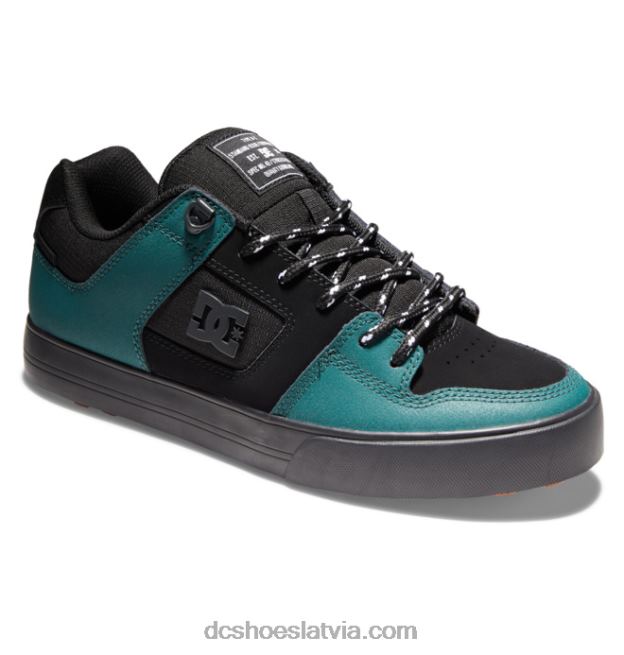 N008N289 vīriešu tīri ziemas slidošanas apavi melns/zaļš DC Shoes
