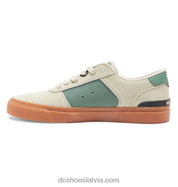 N008N28 vīriešu teknic s slidas kurpes iedegums/zaļš DC Shoes