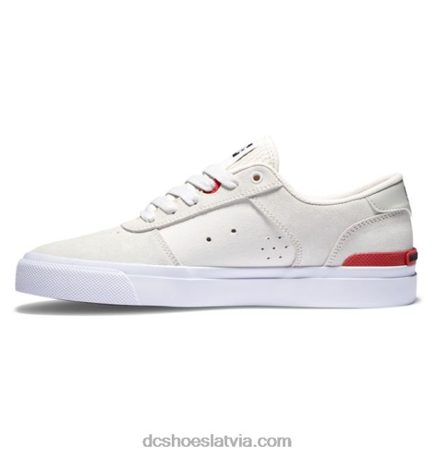 N008N29 vīriešu teknic s slidas kurpes gandrīz balts DC Shoes