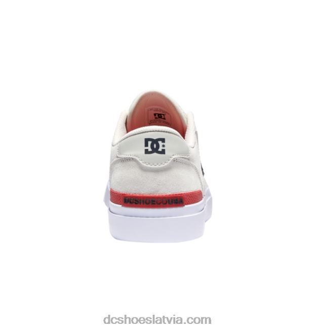 N008N29 vīriešu teknic s slidas kurpes gandrīz balts DC Shoes