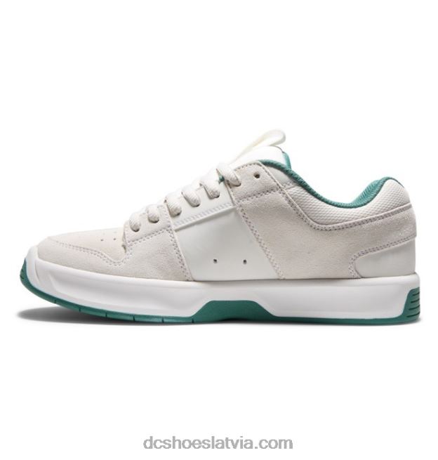 N008N367 vīriešu lynx zero skate kurpes gaiši pelēks DC Shoes