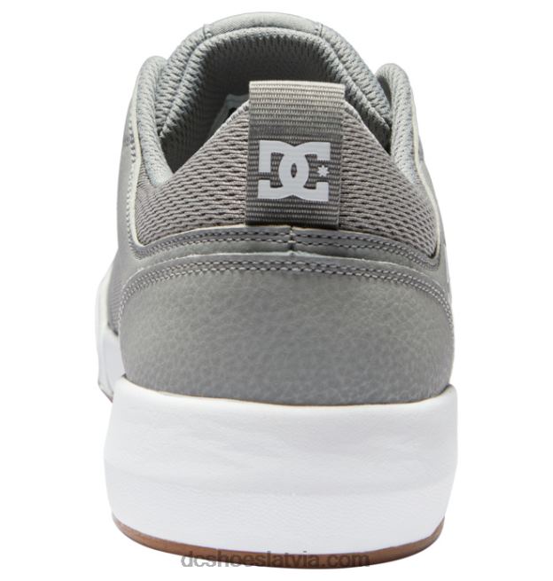 N008N14 vīriešu tranzīta apavi pelēks/balts DC Shoes