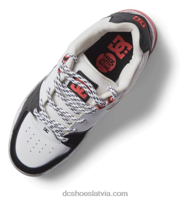 N008N152 daudzpusīgi vīriešu apavi balts/melns/zils DC Shoes