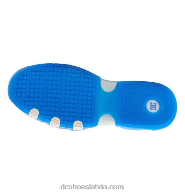 N008N16 vīriešu metriskās shanahan kurpes pelēks/balts/zils DC Shoes