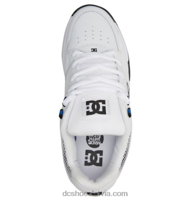 N008N372 daudzpusīgi vīriešu apavi balts/karalisks DC Shoes