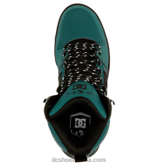 N008N210 vīriešu tīri augstas augšdaļas ūdensizturīgi ziemas zābaki dziļi džungļi DC Shoes