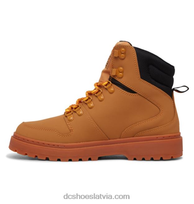 N008N211 vīriešu bumbieru mežģīņu ziemas zābaki kvieši/melnie DC Shoes