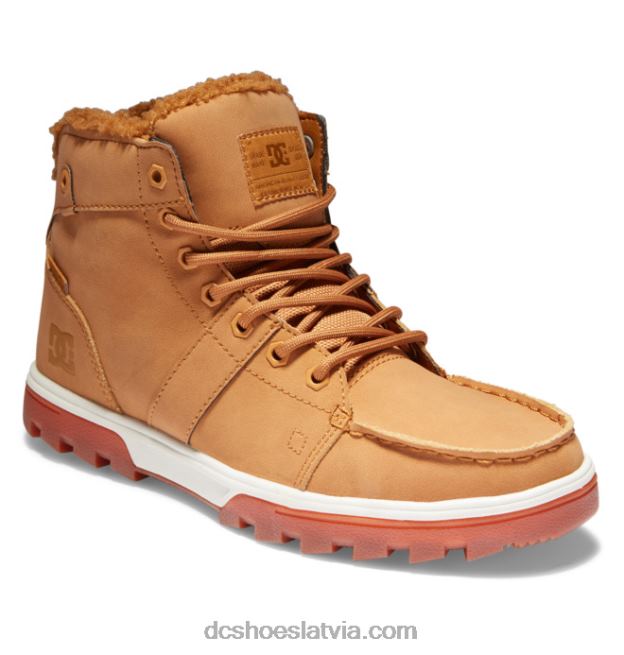 N008N227 vīriešu meža zābaki ziemas zābaki kviešu/dk šokolāde DC Shoes